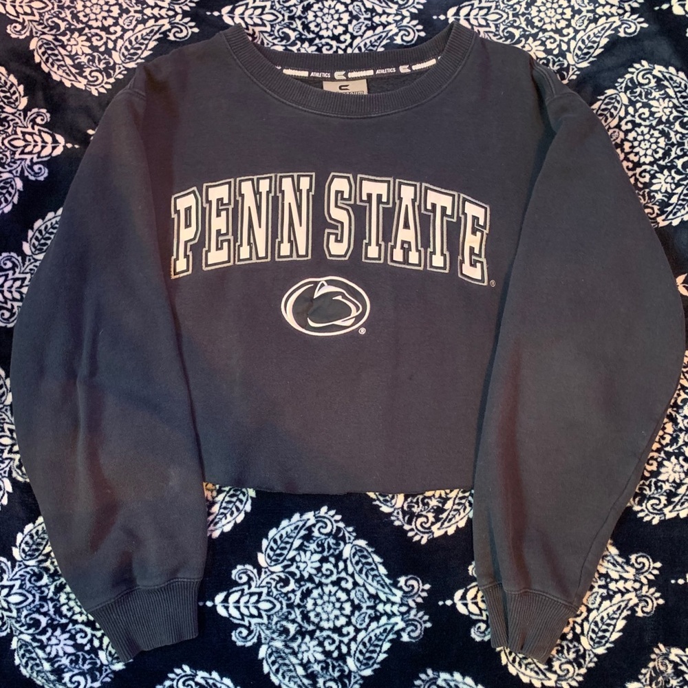Penn State cropped hoodie navy blue size small